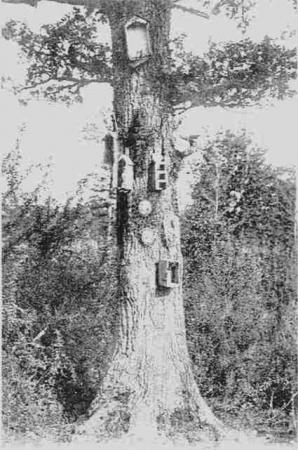La Tombe à la Fille en 1897